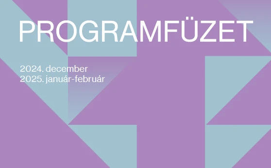 Képernyőkép 2025-02-24 110206 (1)