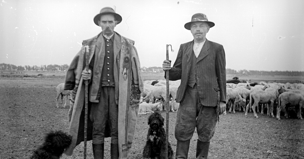 Hangadó Senior – LISTEN. különkiadás