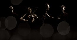 Az Összművészeti felhívás programja