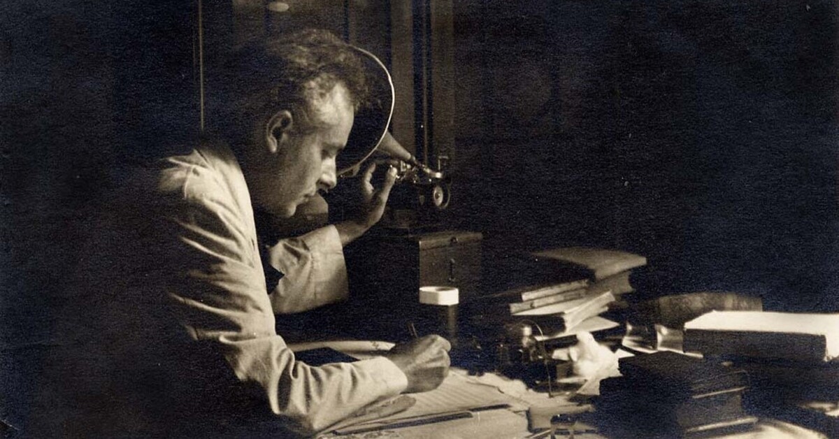 Bartók földje