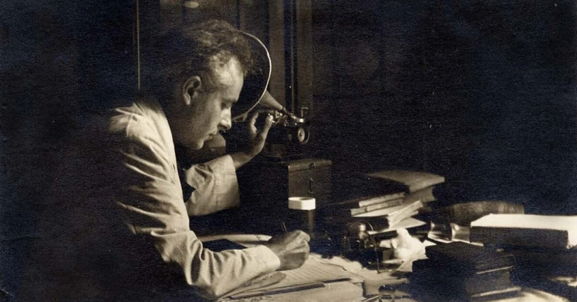Bartók földje